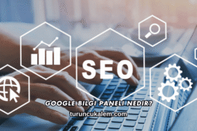 Google Bilgi Paneli Nedir?