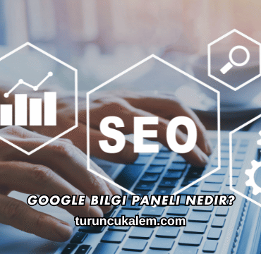 Google Bilgi Paneli Nedir?